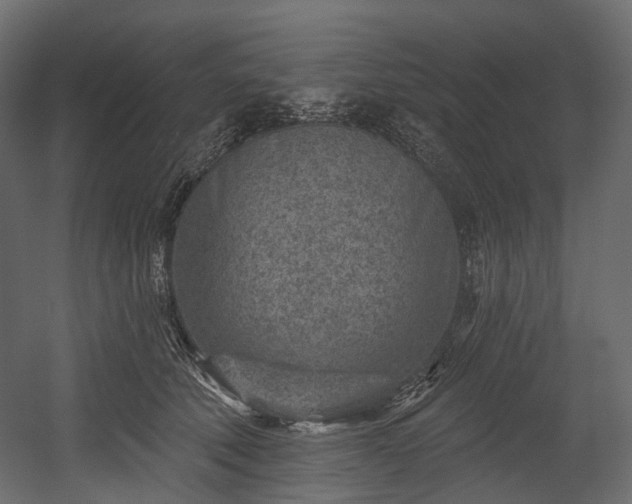 X0000054360610200508011222
