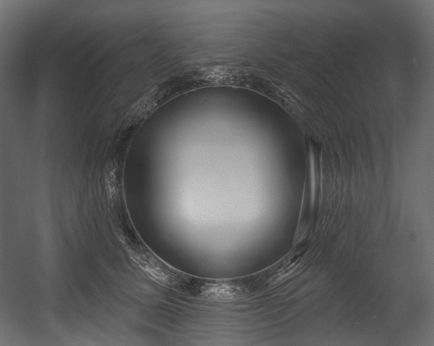 X0000054360611200508011222