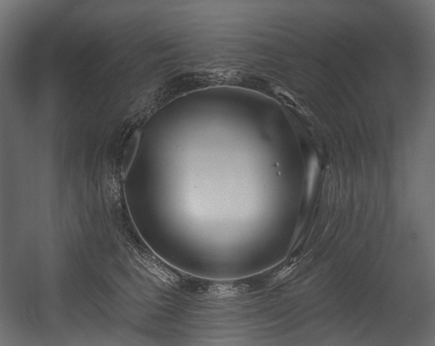 X0000054360613200508011222