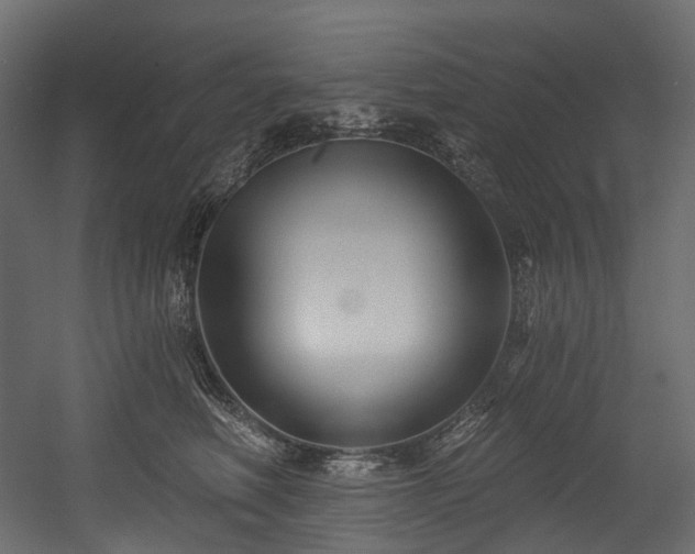 X0000054360614200508011222