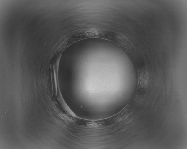 X0000054360616200508011222