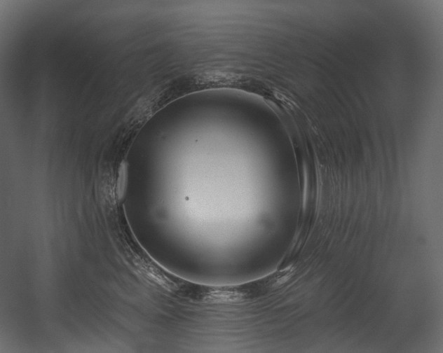 X0000054360617200508011222