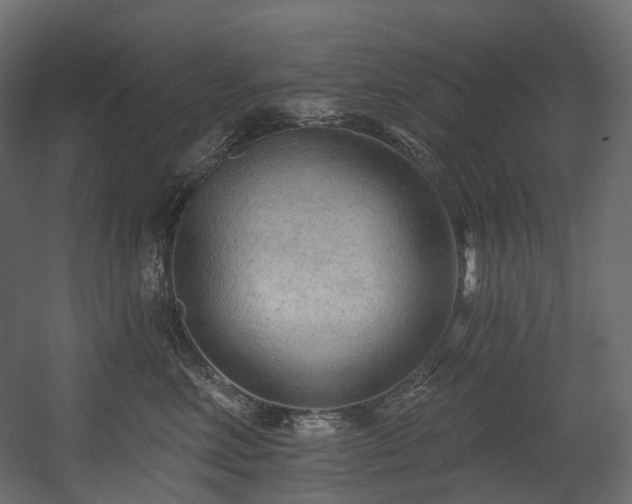 X0000054360618200508011222