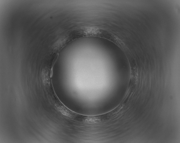 X0000054360619200508011222