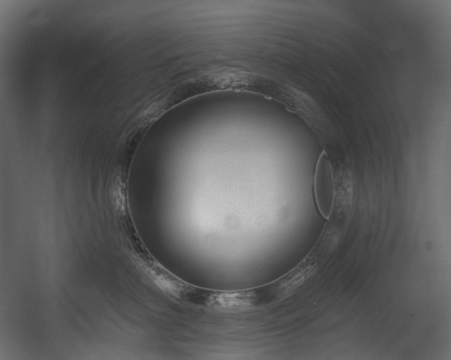 X0000054360622200508011222