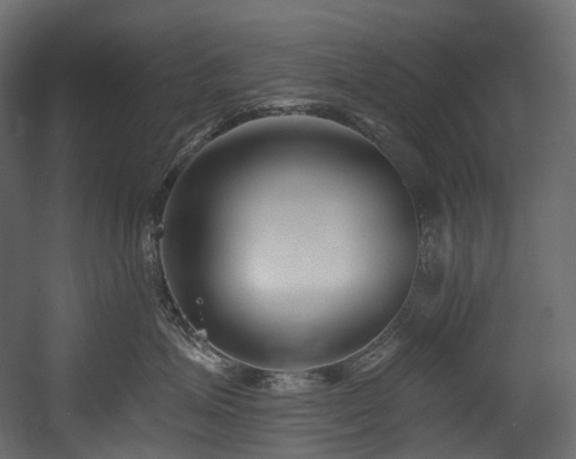 X0000054360623200508011222