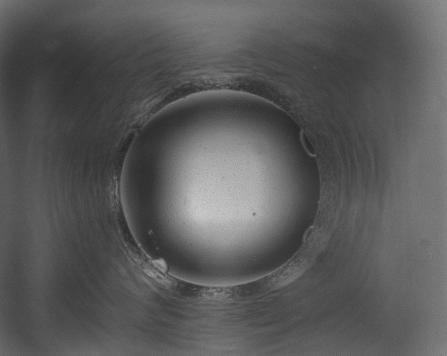 X0000054360624200508011222