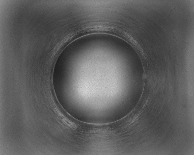 X0000054360625200508011221