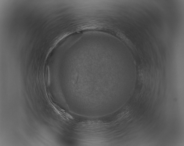X0000054360626200508011221