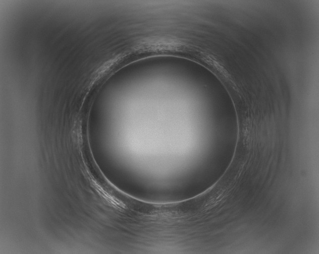 X0000054360629200508011221