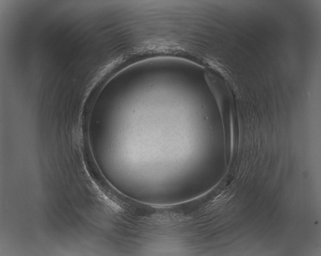 X0000054360630200508011221