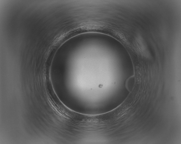 X0000054360631200508011221