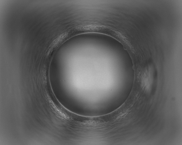 X0000054360633200508011221