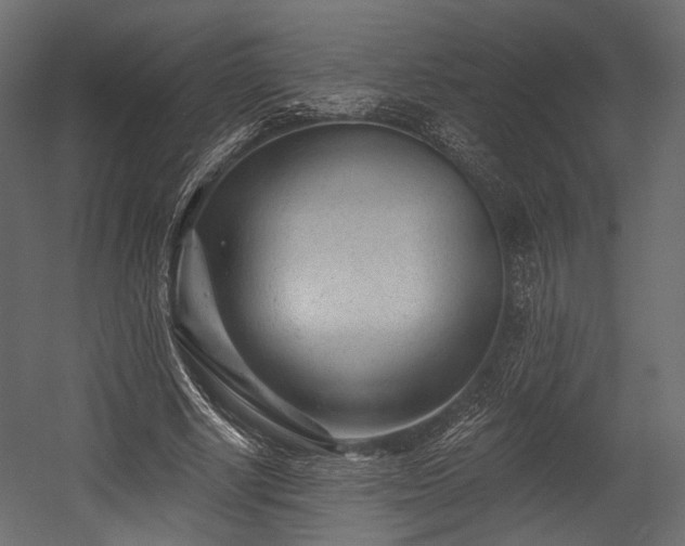 X0000054360634200508011221