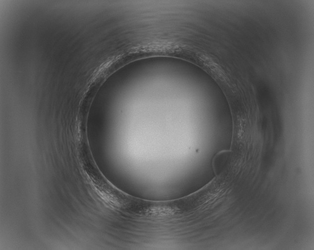X0000054360636200508011221