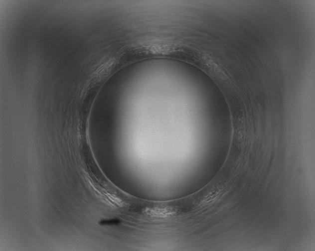 X0000054360639200508011221