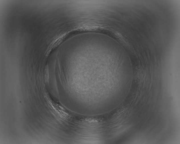 X0000054360640200508011221