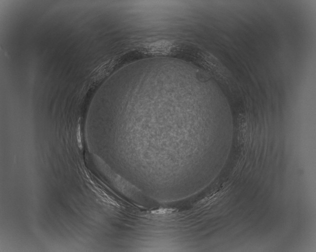 X0000054360641200508011221