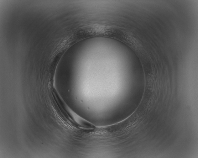 X0000054360642200508011221