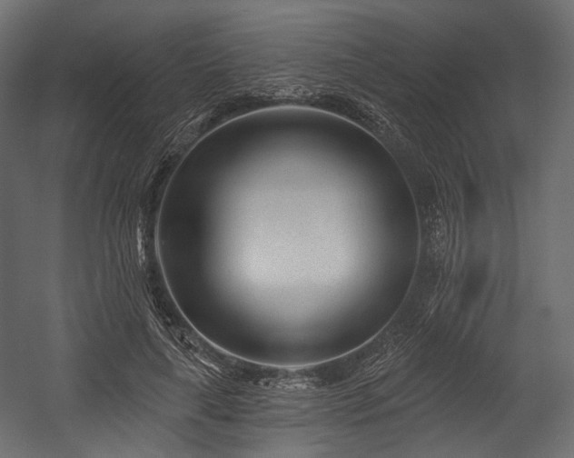 X0000054360643200508011221