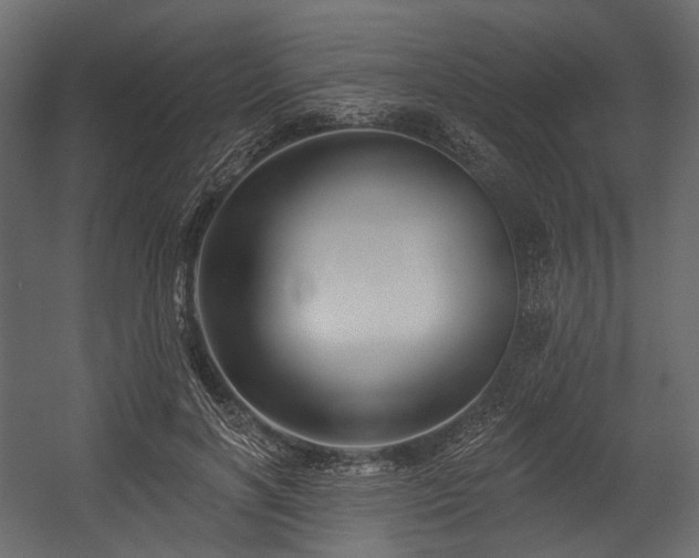 X0000054360646200508011221