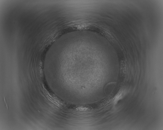 X0000054360650200508011221
