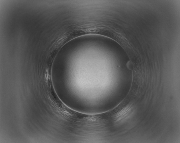 X0000054360652200508011222