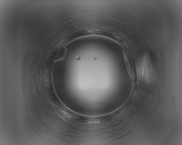 X0000054360653200508011222