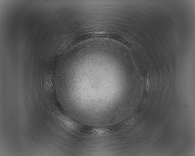 X0000054360654200508011222