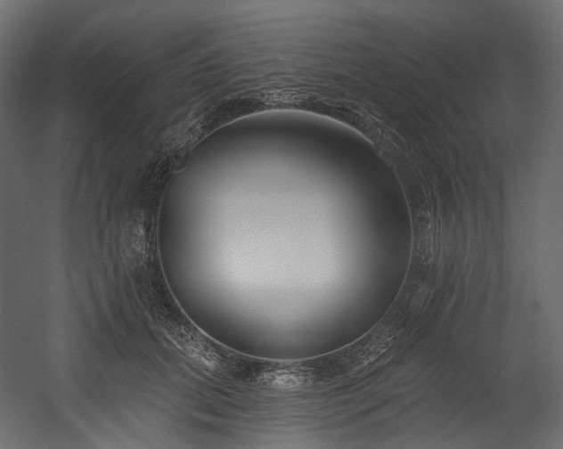 X0000054360655200508011222
