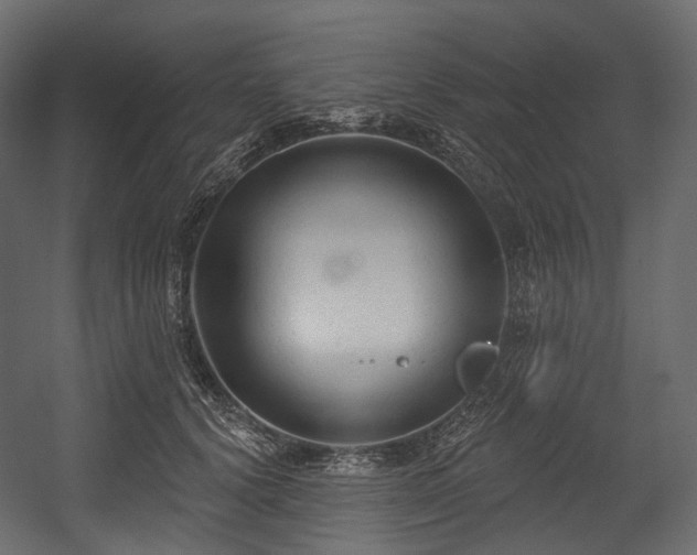 X0000054360656200508011222