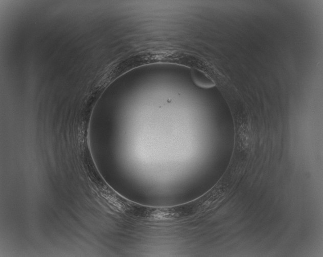 X0000054360657200508011222