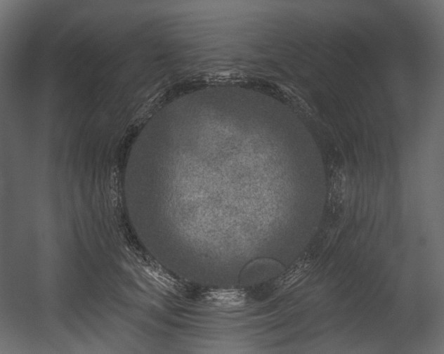 X0000054360659200508011222