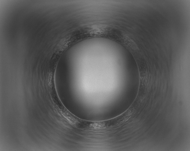 X0000054360660200508011222