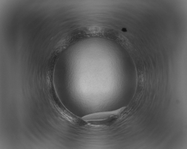 X0000054360662200508011222