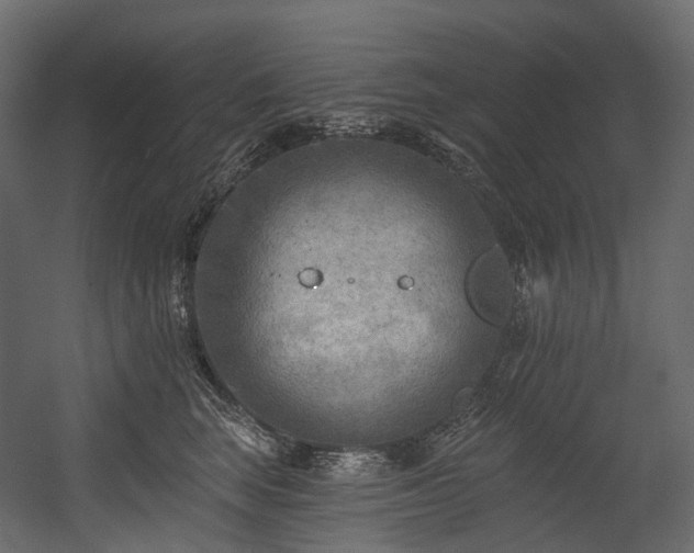 X0000054360663200508011222