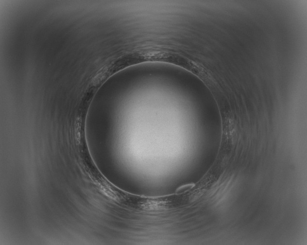 X0000054360664200508011222