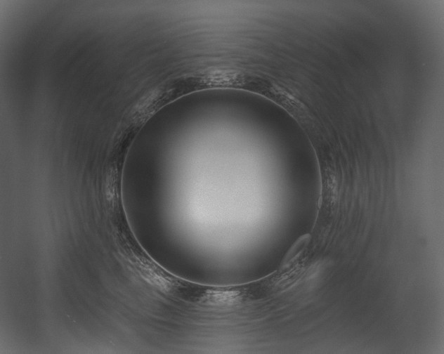 X0000054360665200508011222