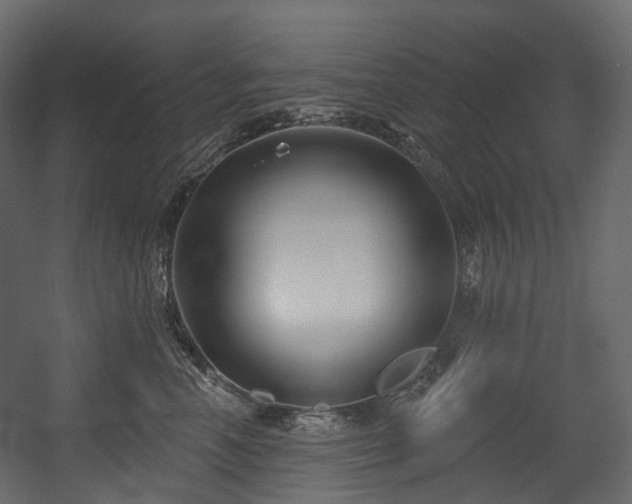 X0000054360666200508011222