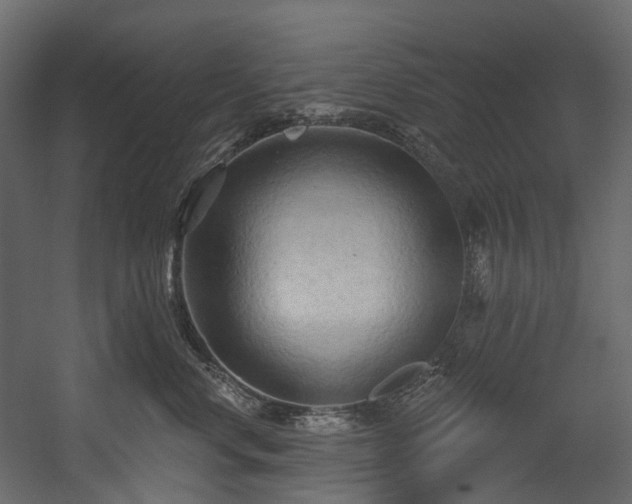X0000054360668200508011222