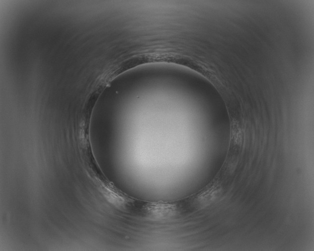X0000054360670200508011222
