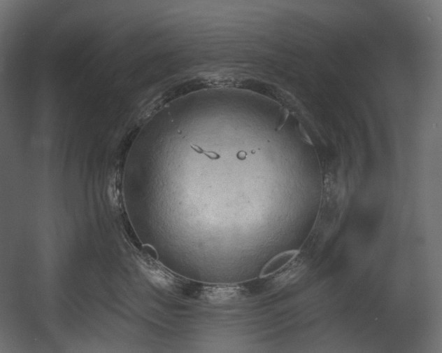 X0000054360671200508011222