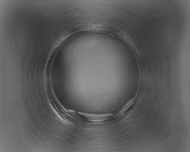 X0000054360674200508011221