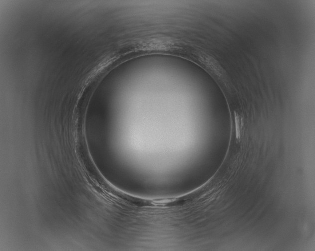 X0000054360675200508011221