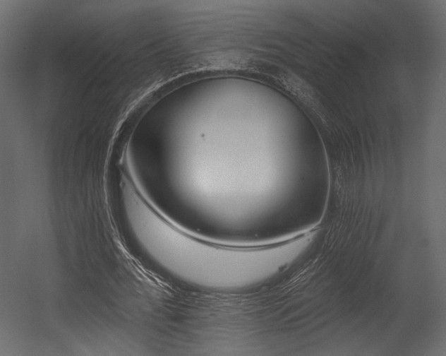 X0000054360676200508011221