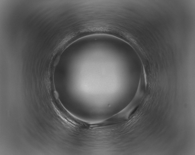 X0000054360677200508011221