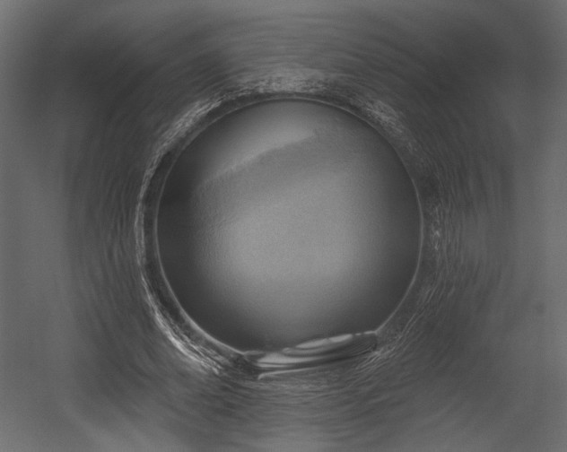 X0000054360678200508011221