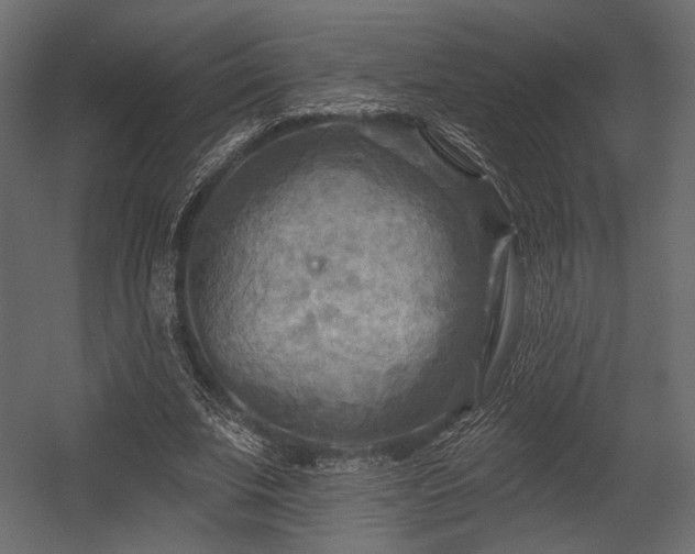 X0000054360679200508011221