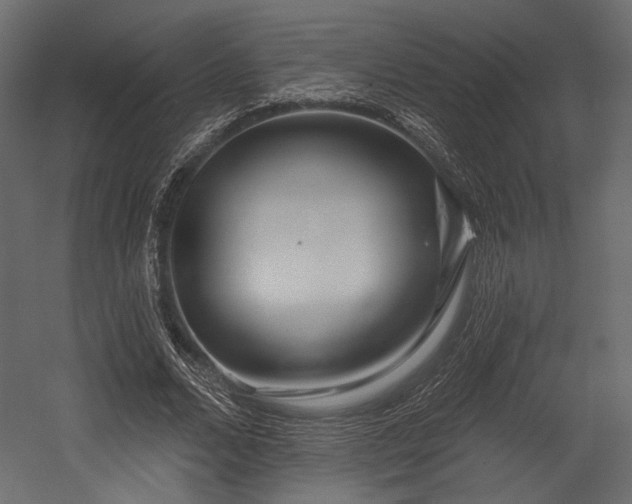 X0000054360680200508011221