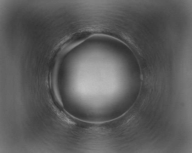 X0000054360681200508011221